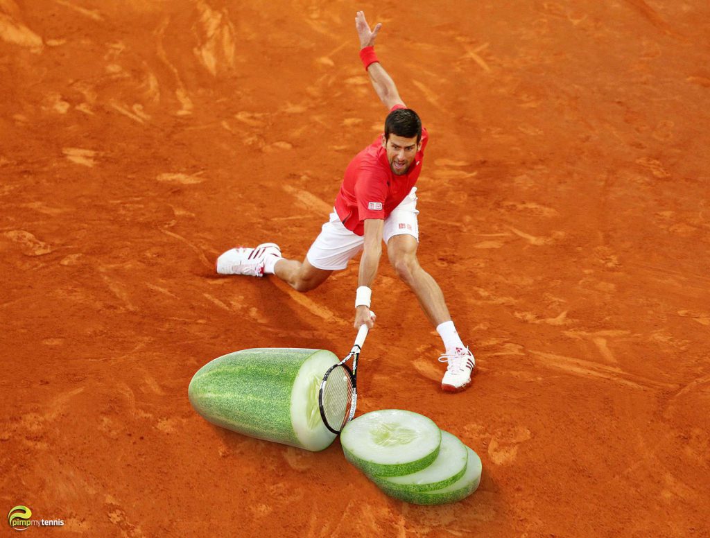 Novak Djokovic slices vegan
